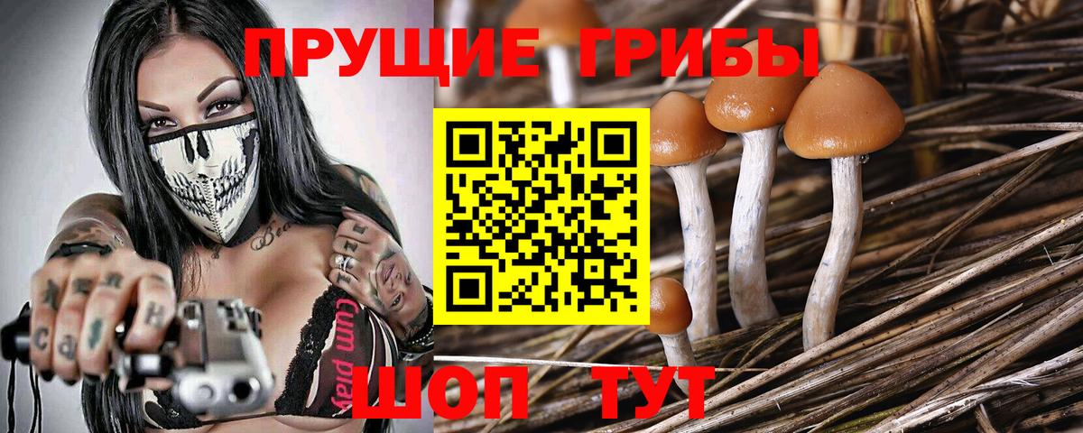 Галлюциногенные грибы Magic Shrooms  Псилоцибиновые грибы GOLDEN TEACHER  Мирный  Вход с VPN 